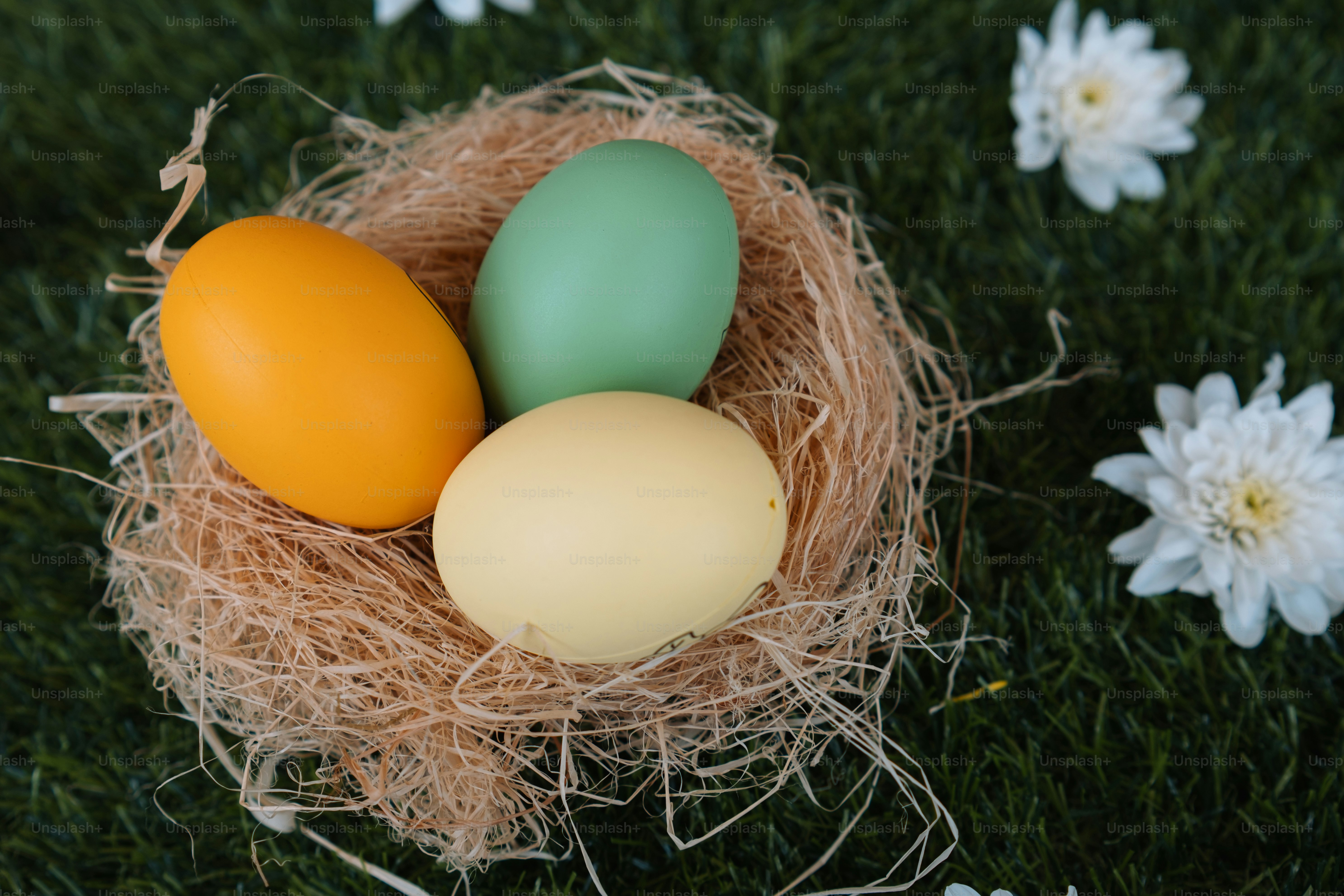 three eggs in a nest on a green grass