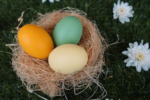 three eggs in a nest on a green grass