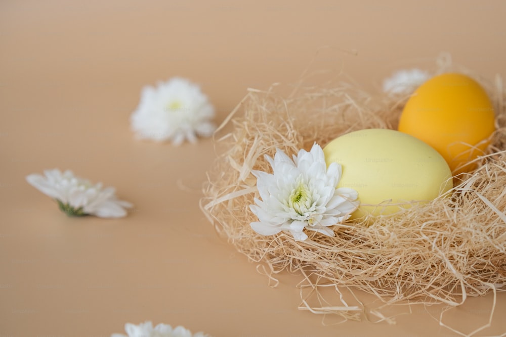 白い花を持つ巣の中の2つの卵
