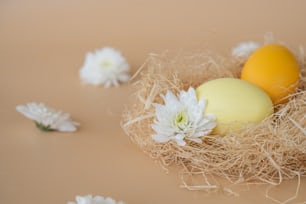 two eggs in a nest with white flowers