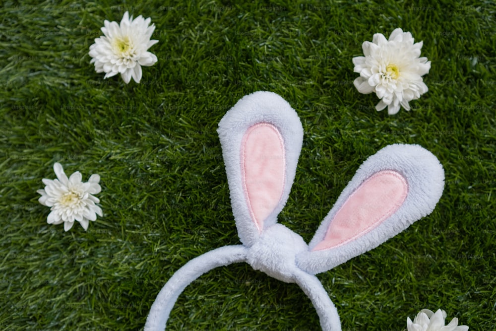 uma faixa de cabeça de orelhas de coelho deitada em cima de um campo coberto de grama