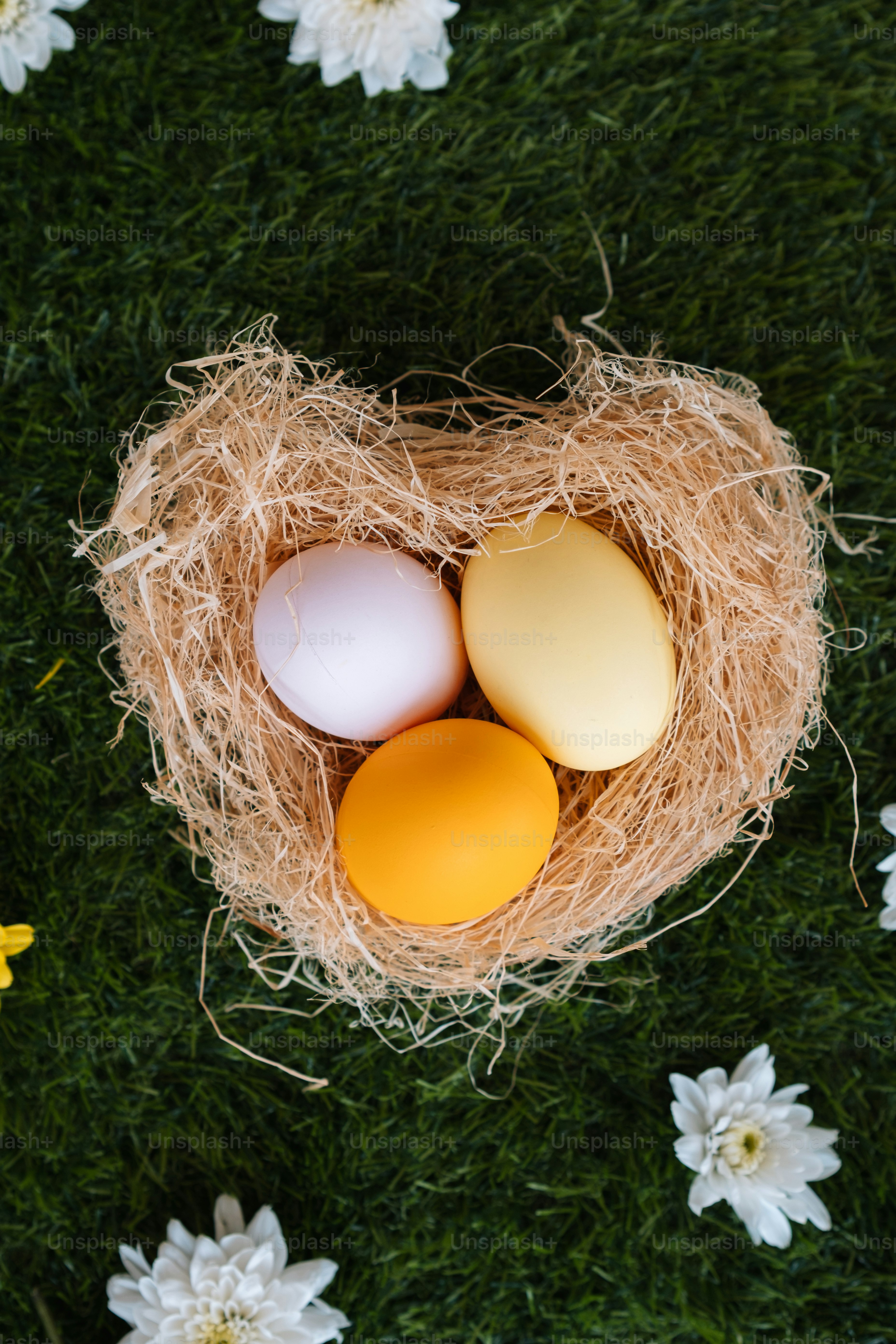 three eggs in a nest on the grass