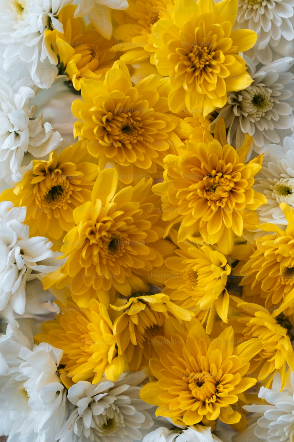 a bunch of yellow and white flowers together