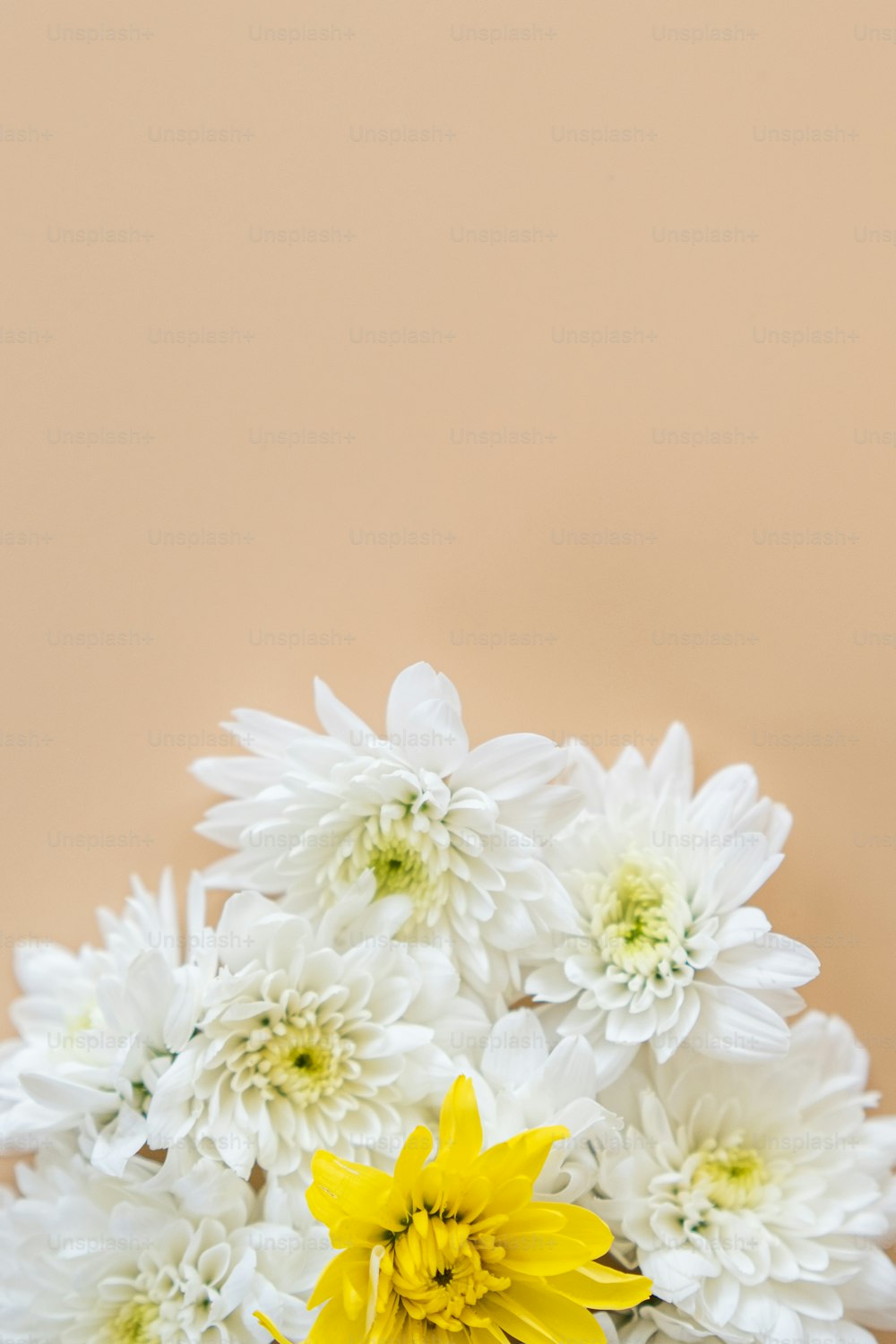 eine Vase gefüllt mit weißen und gelben Blumen