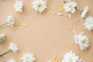 Un ramo de flores blancas sobre un fondo rosa