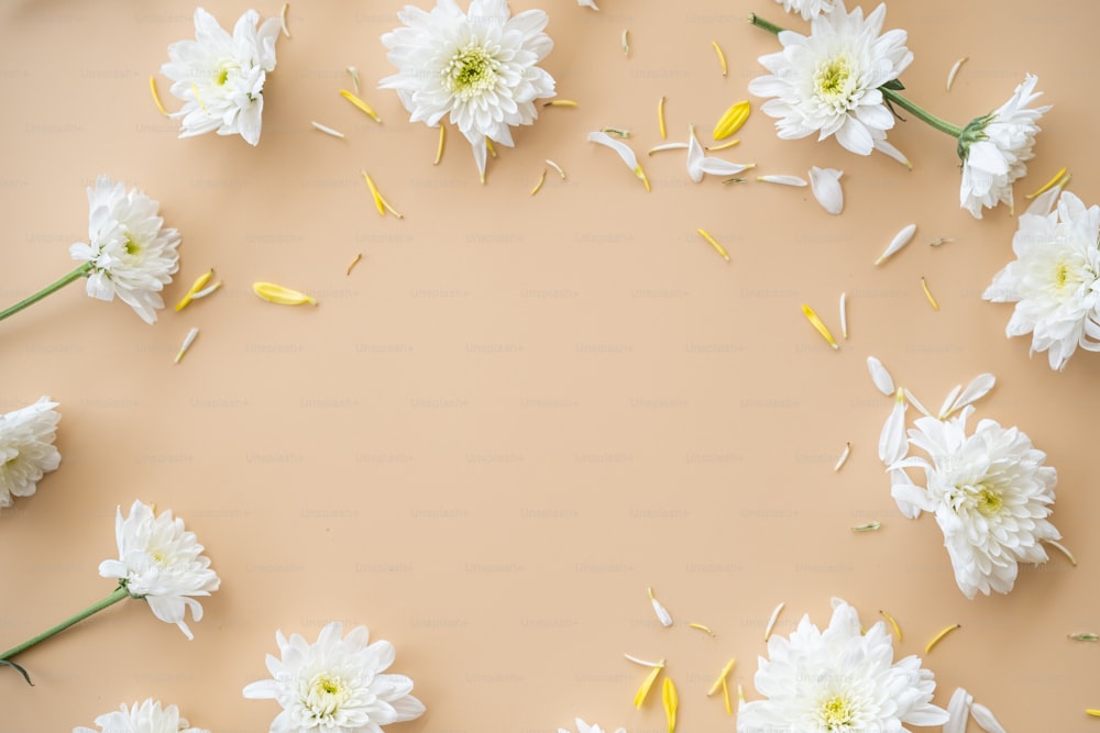 a bunch of white flowers on a pink background