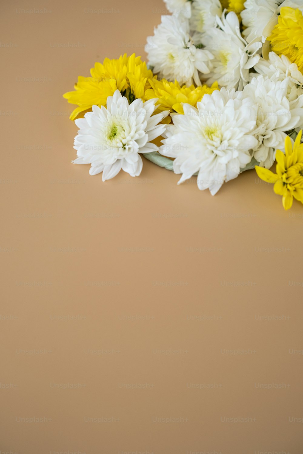 테이블에 흰색과 노란색 꽃의 무리