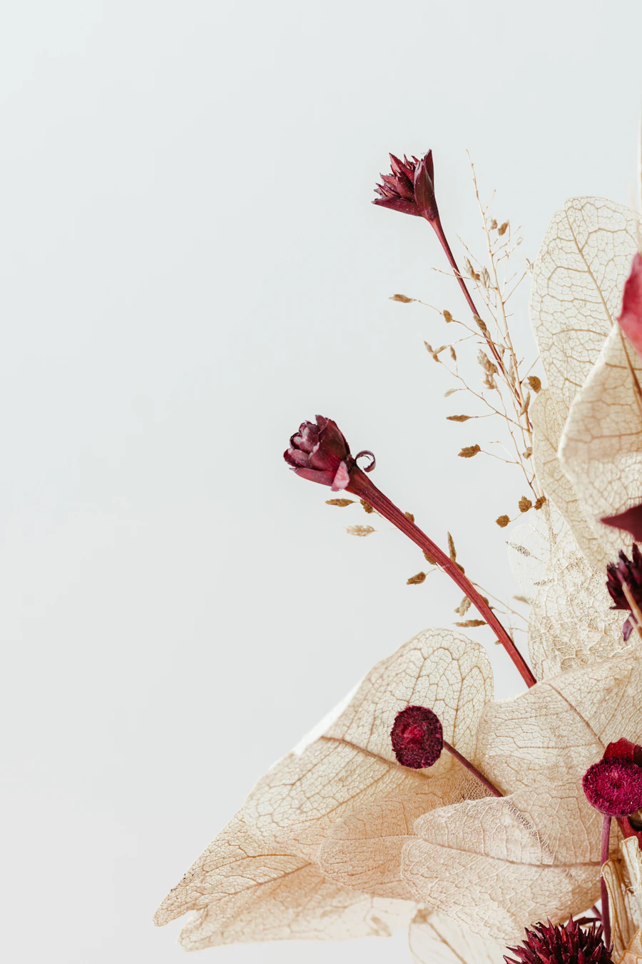 Bouquet sauvage de fleurs séchées aux teintes dorées