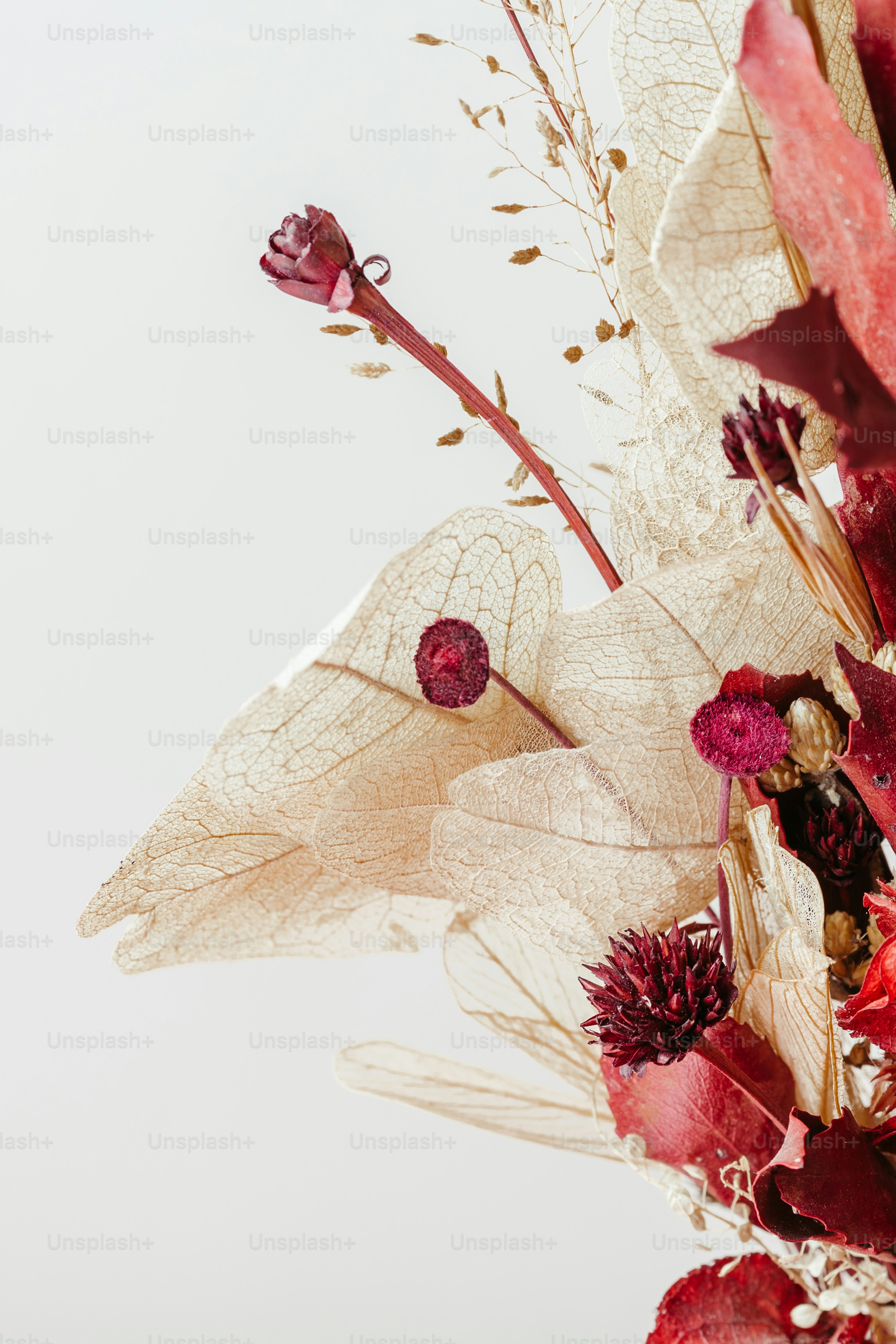 a bouquet of flowers with leaves on a white background