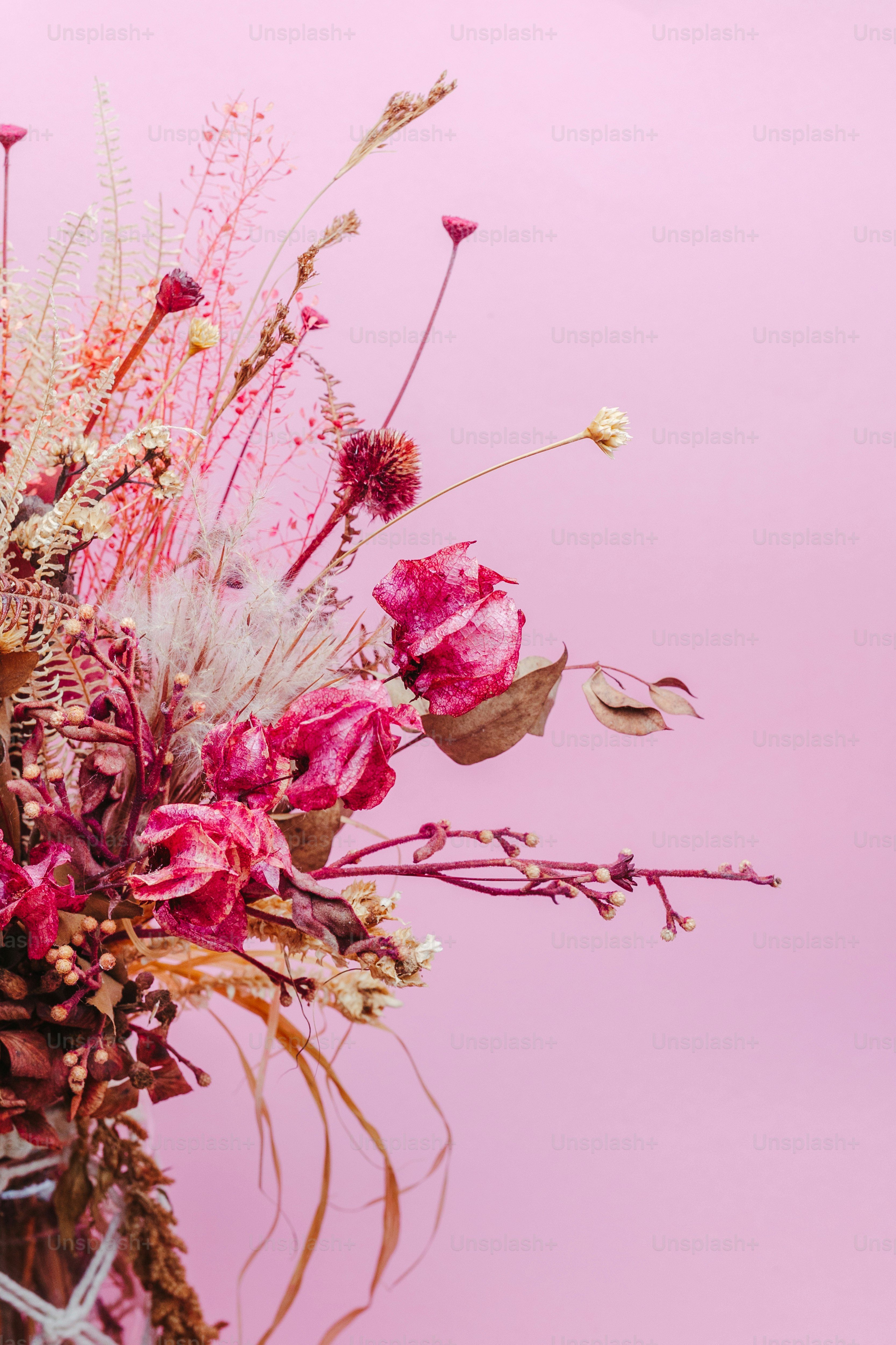 A vase filled with lots of pink flowers photo – Dried flowers Image on ...