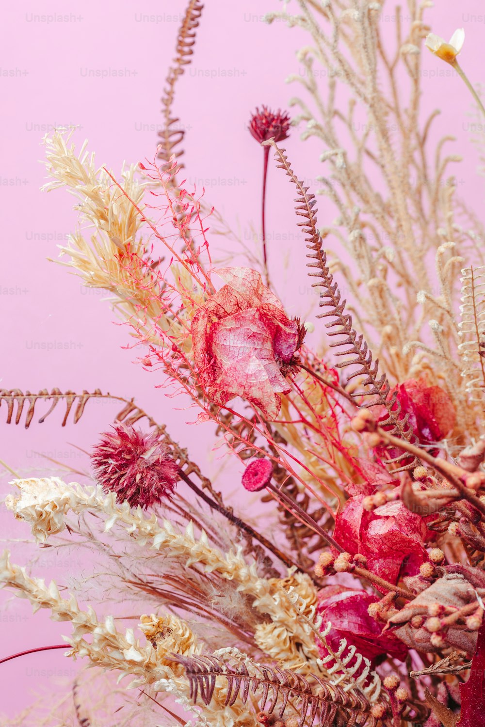 a bouquet of flowers on a pink background