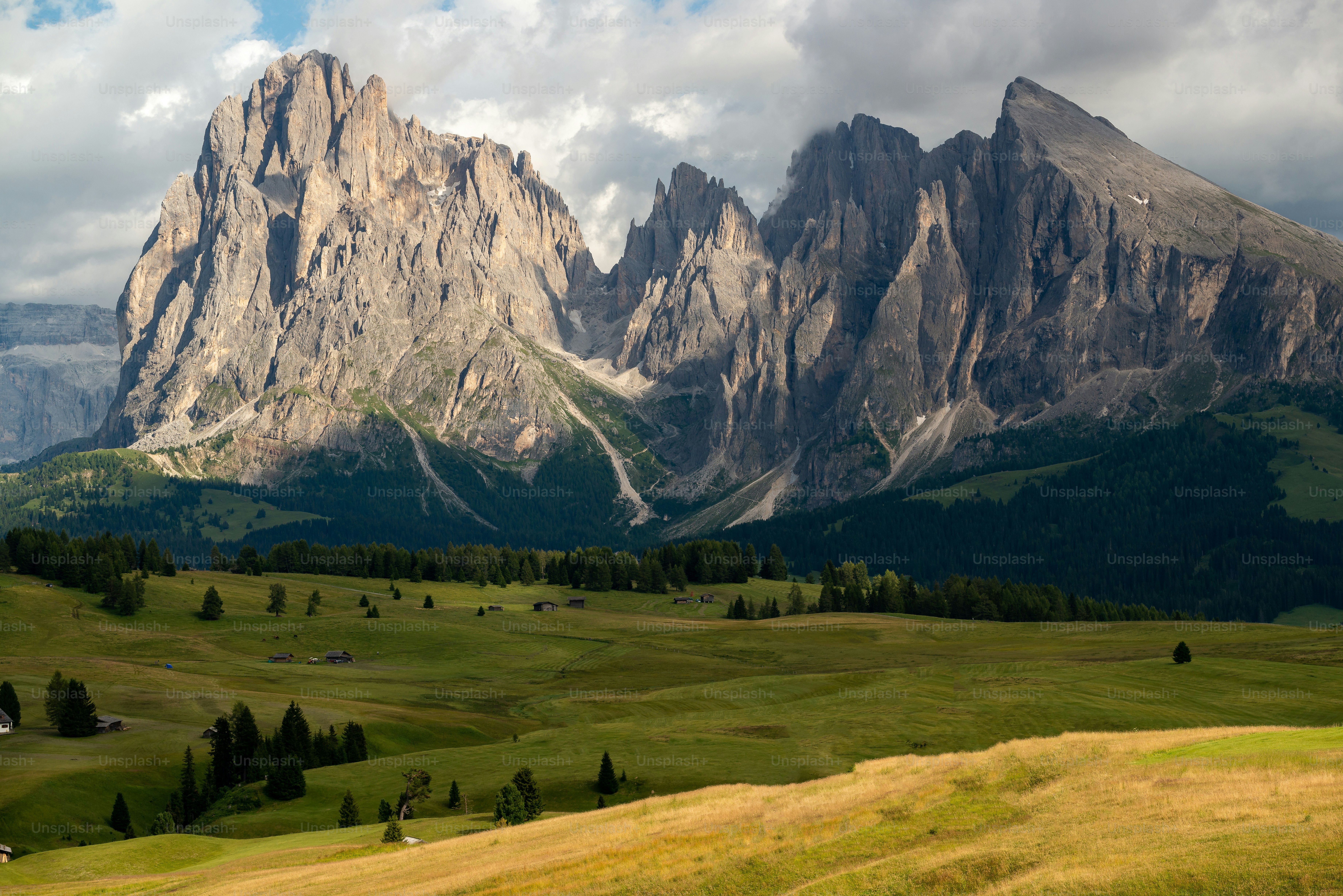 a mountain range with green grass and trees in the foreground