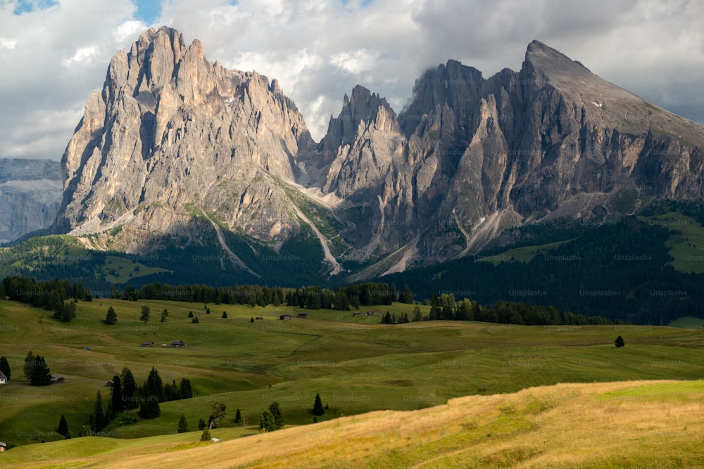 a mountain range with green grass and trees in the foreground