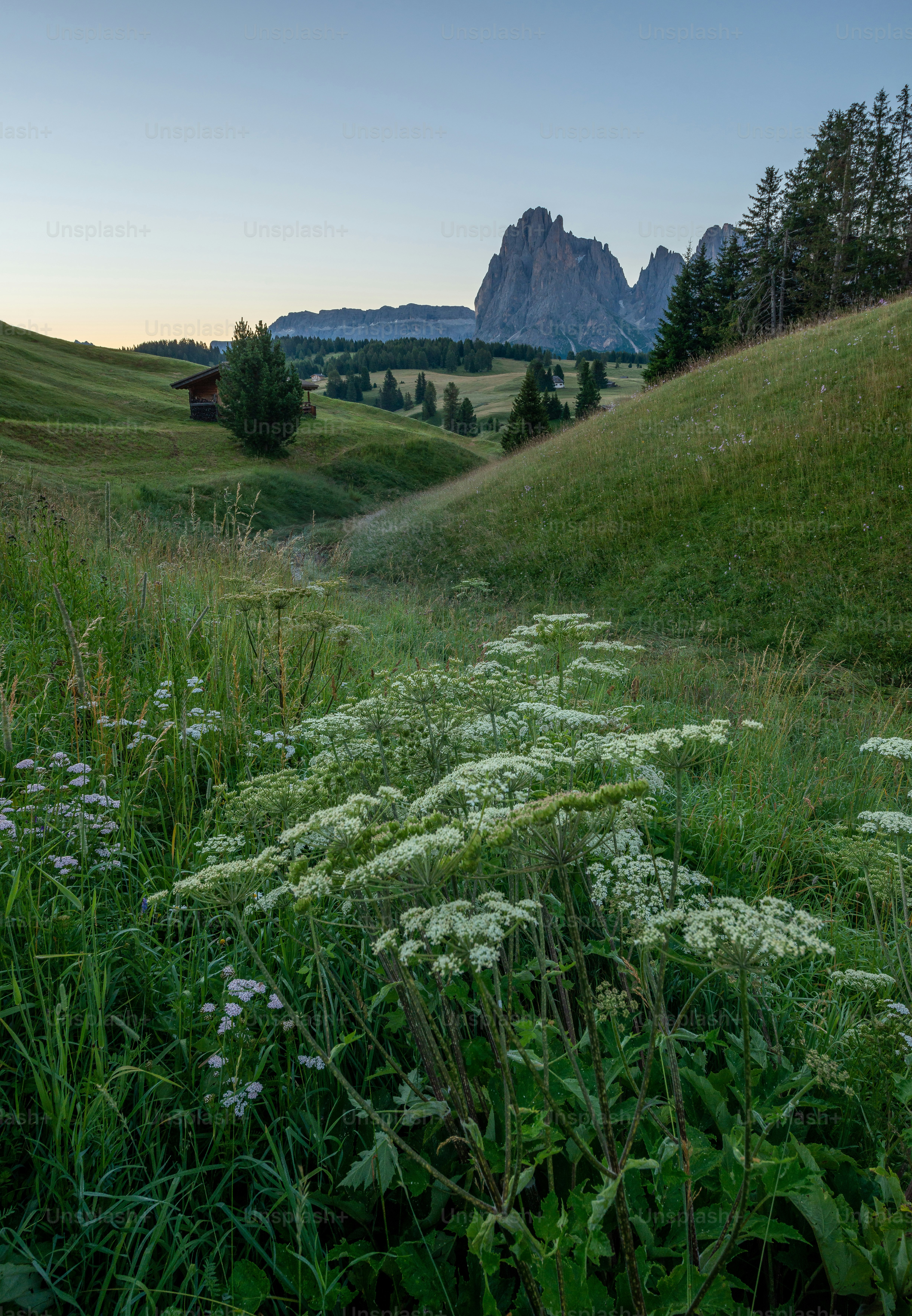un campo erboso con una montagna sullo sfondo