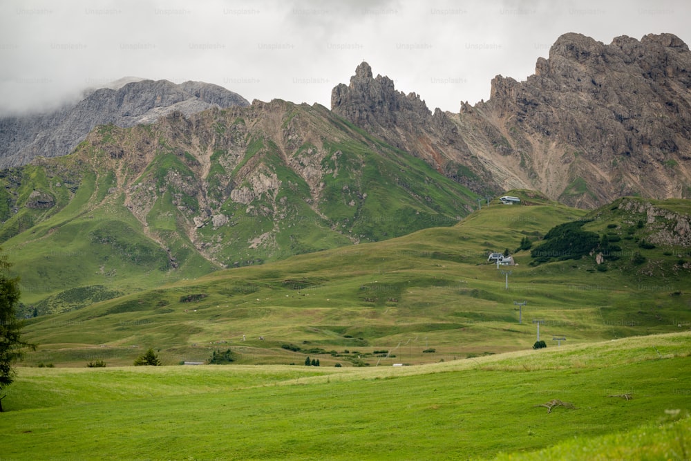 ein grasbewachsenes Feld mit einem Berg im Hintergrund