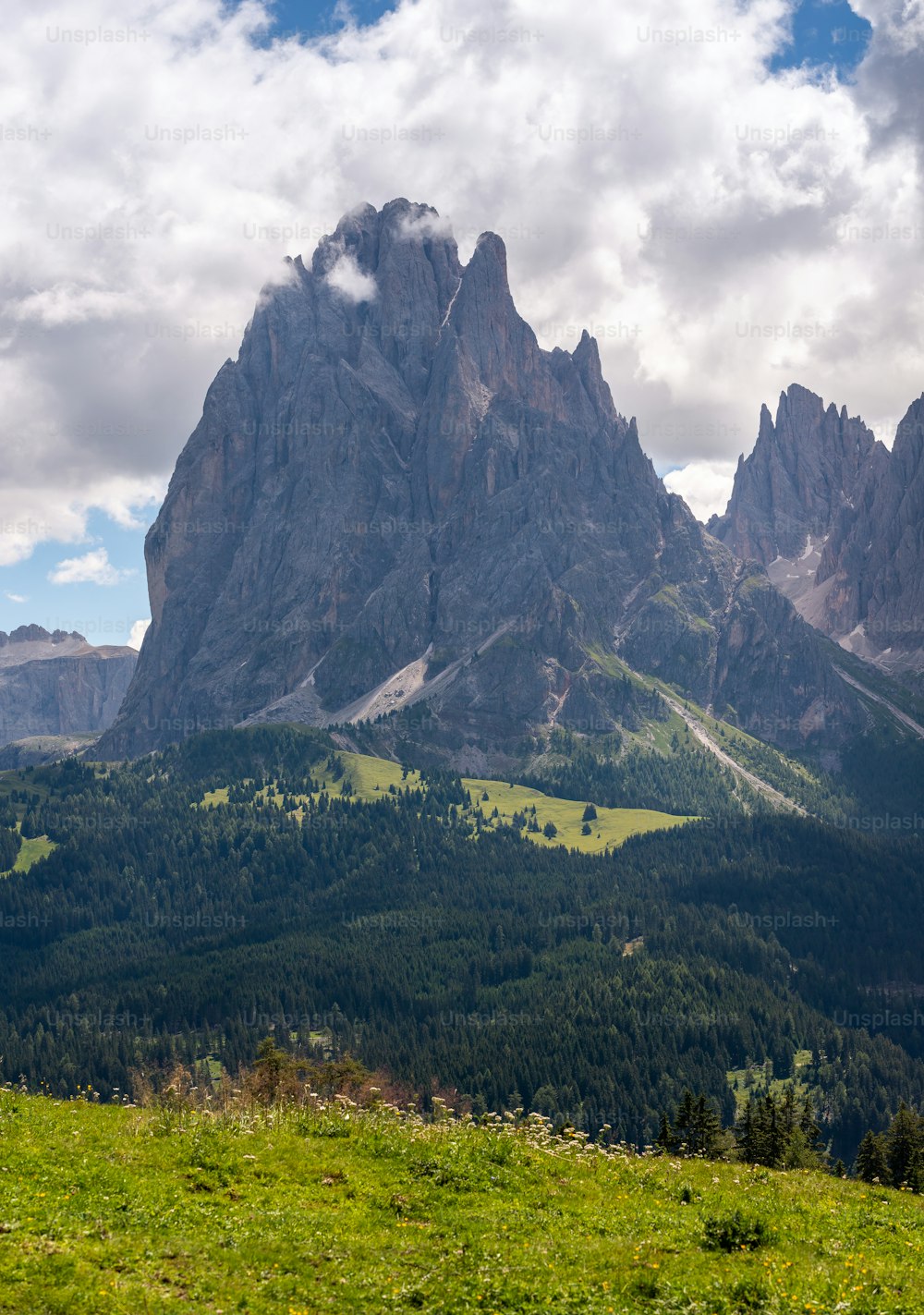 Un gregge di pecore al pascolo su una collina verde lussureggiante