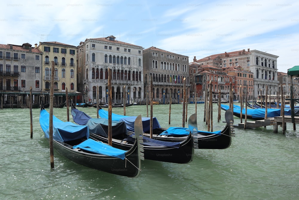 a row of gondolas tied to poles in the water
