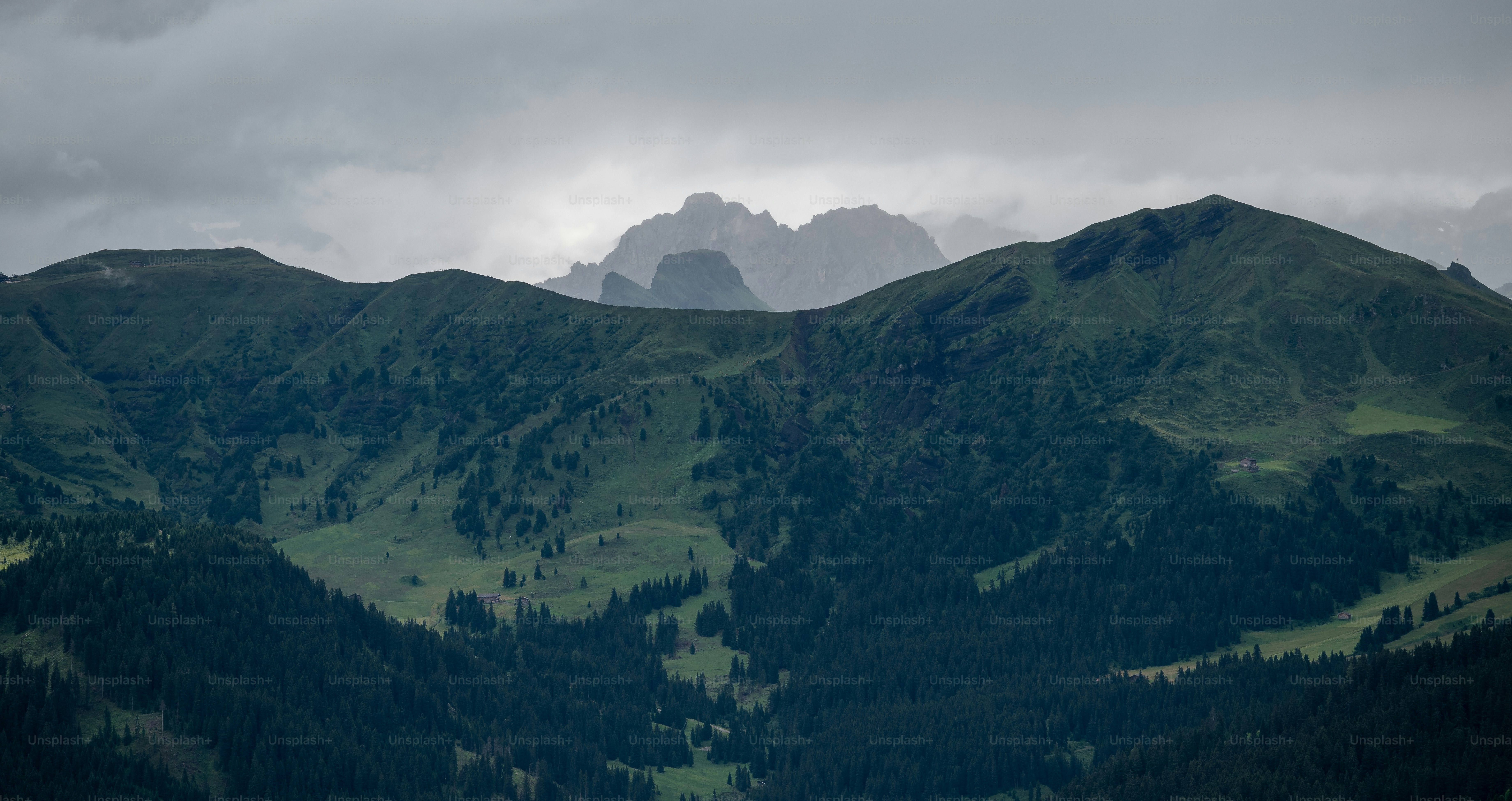 Les montagnes sont couvertes d’herbe verte et d’arbres