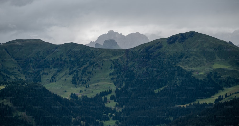 the mountains are covered in green grass and trees