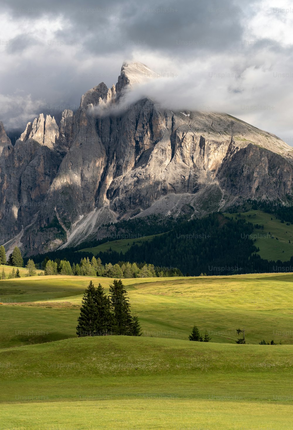 a mountain range with a few trees in the foreground