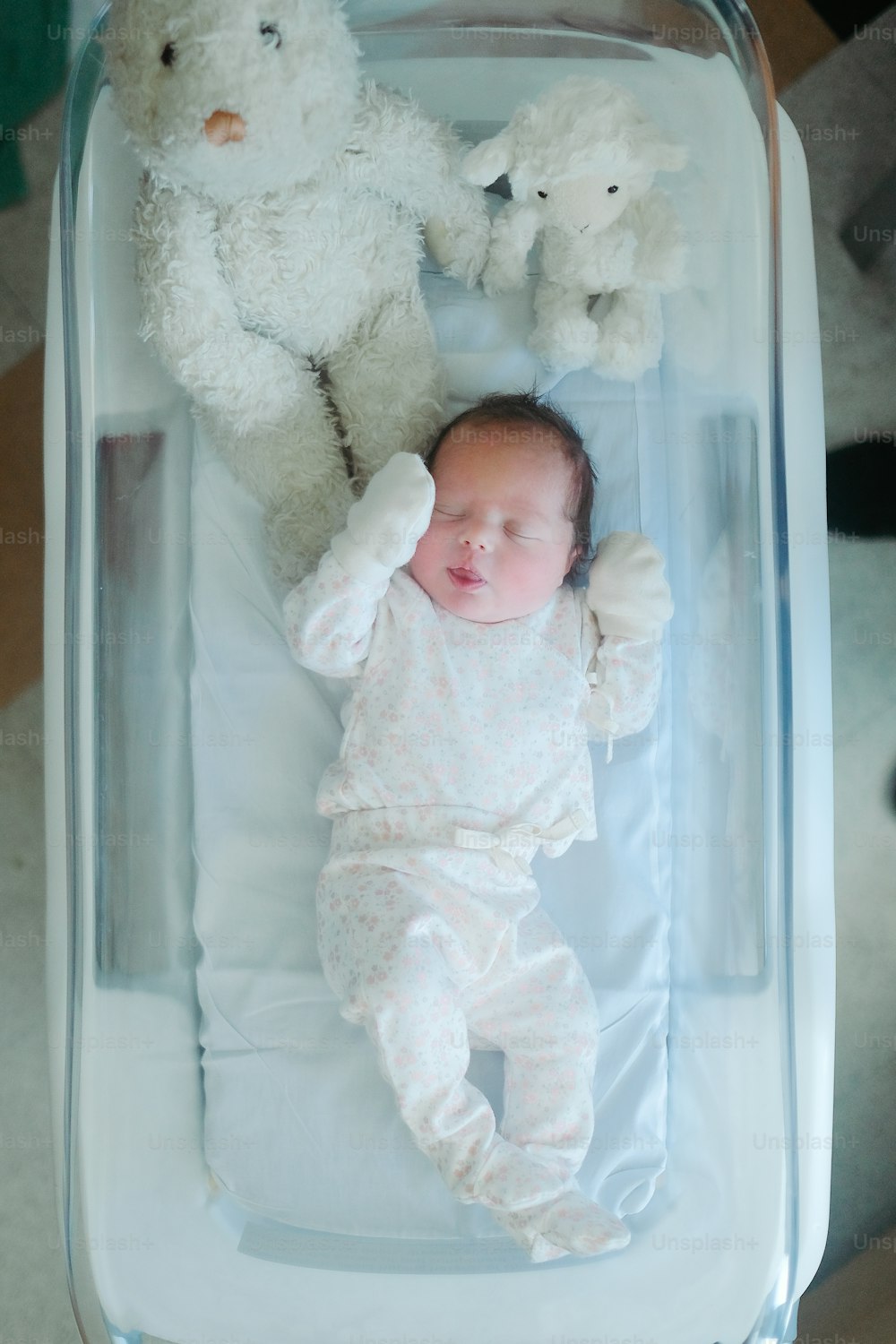박제 동물 옆에 유아용 침대에 누워있는 아기