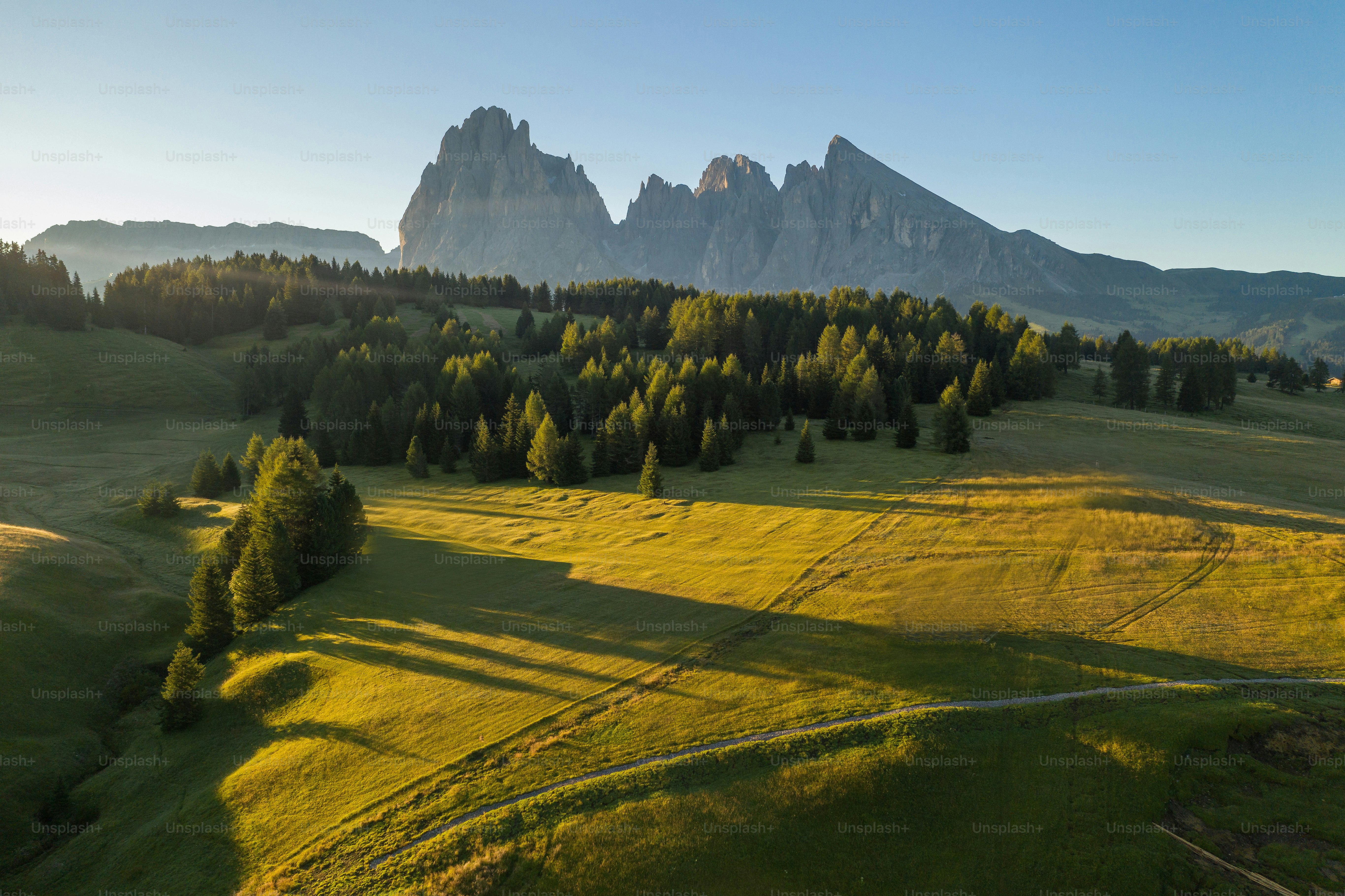 A grassy field with trees and mountains in the background photo ...
