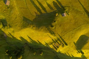 Una vista aérea de un campo cubierto de hierba con árboles
