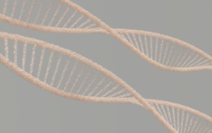 a close up of a double strand of white string