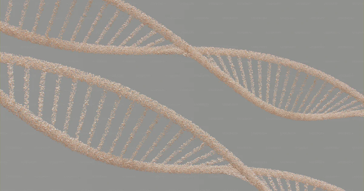 A close up of a double strand of white string photo – Wallpaper Image ...