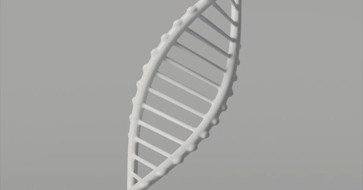 A 3d model of a double - stranded, white, spiral - shaped, photo – 3d ...