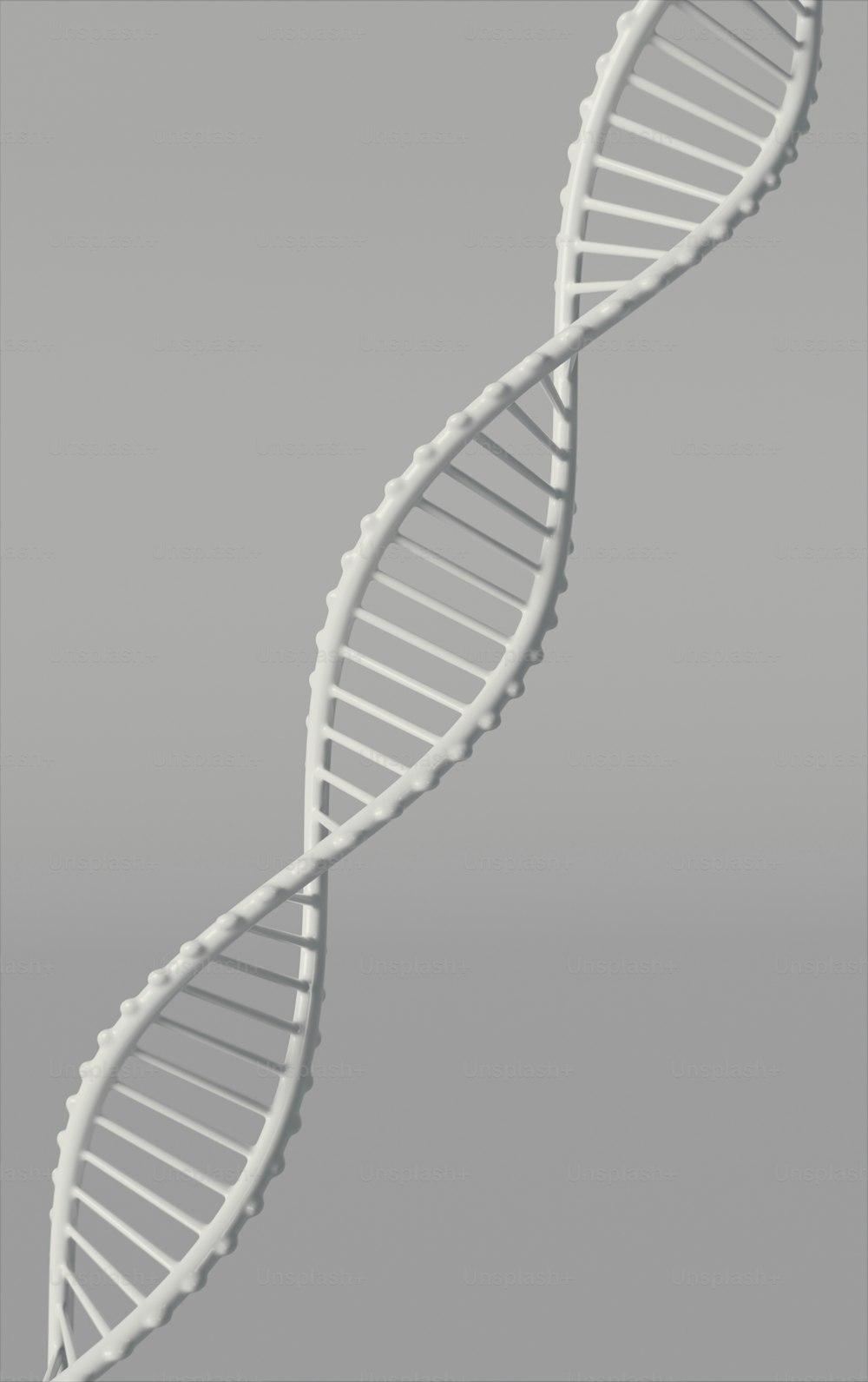 a 3d model of a double - stranded, white, spiral - shaped,