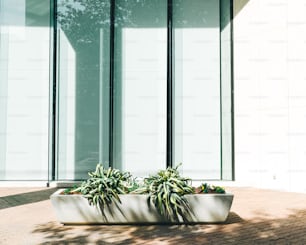 a planter with two plants in front of a building