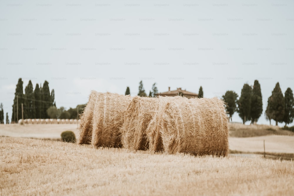 Un par de pacas de heno en un campo