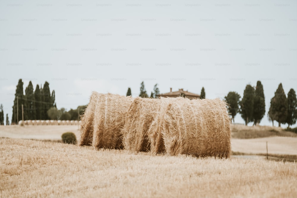 a couple of bales of hay in a field