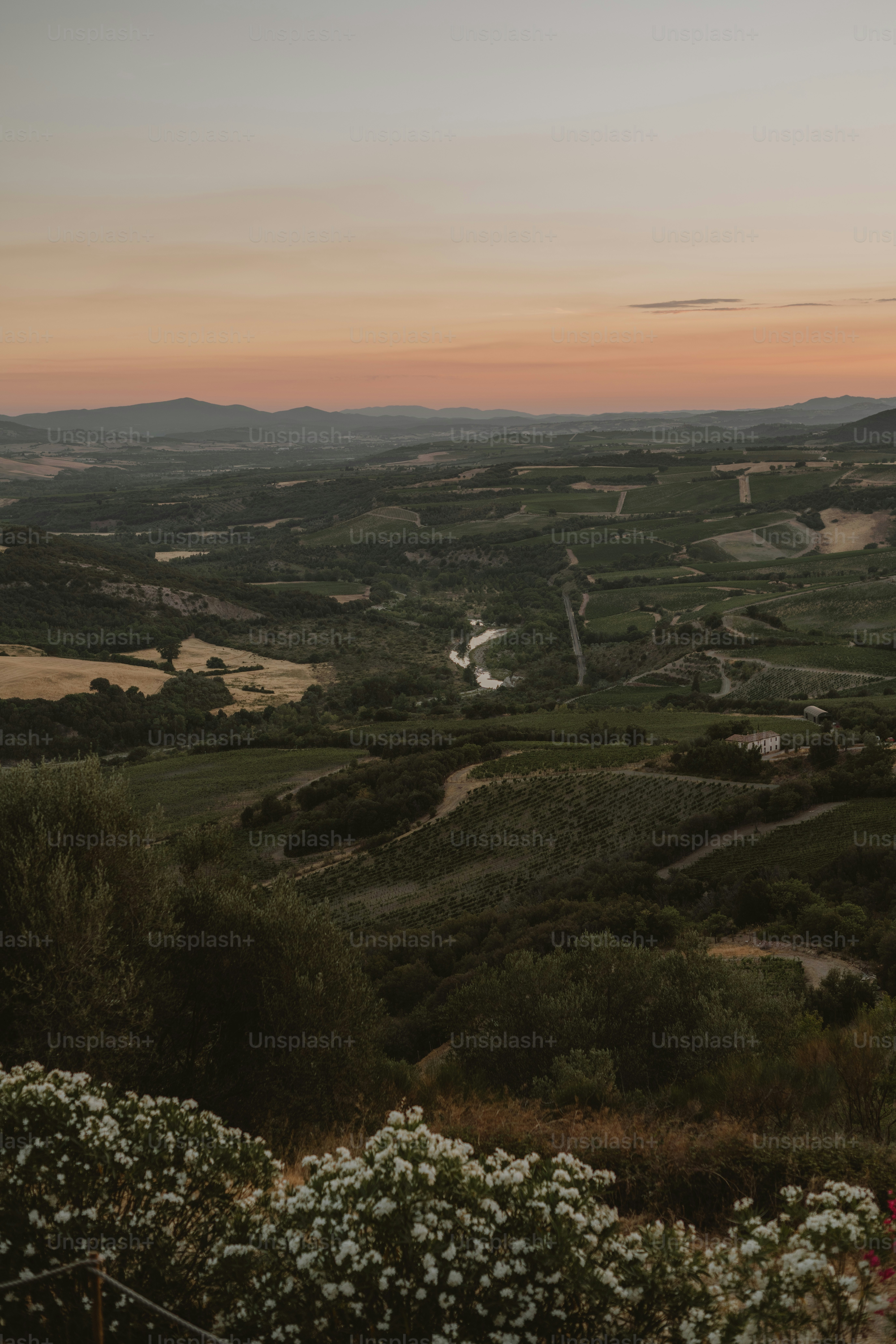 a view of a valley with a river running through it