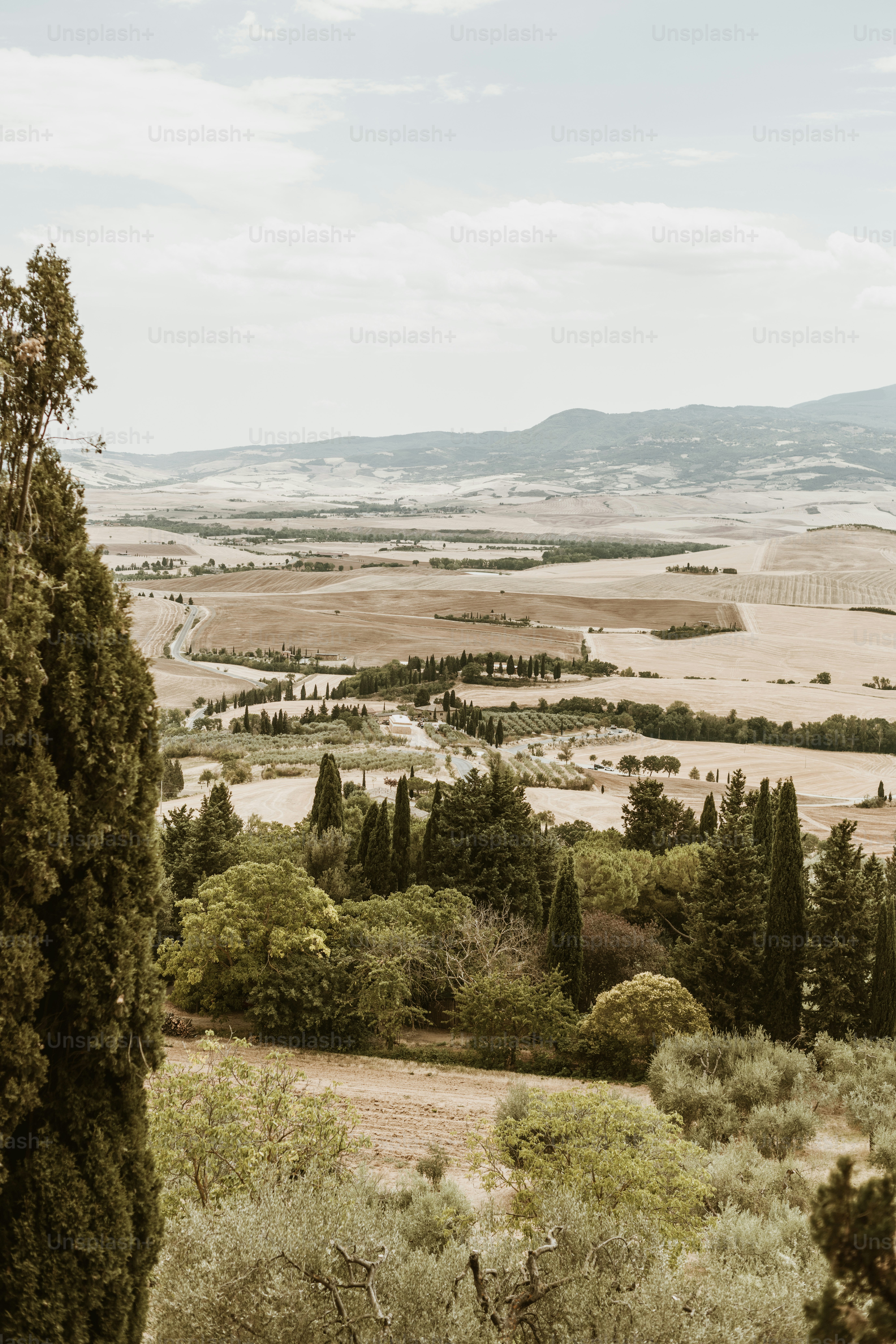 a view of a field with trees and mountains in the background