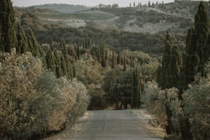 Una strada vuota circondata da alberi e colline
