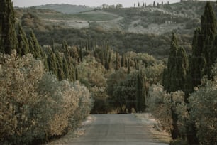 an empty road surrounded by trees and hills