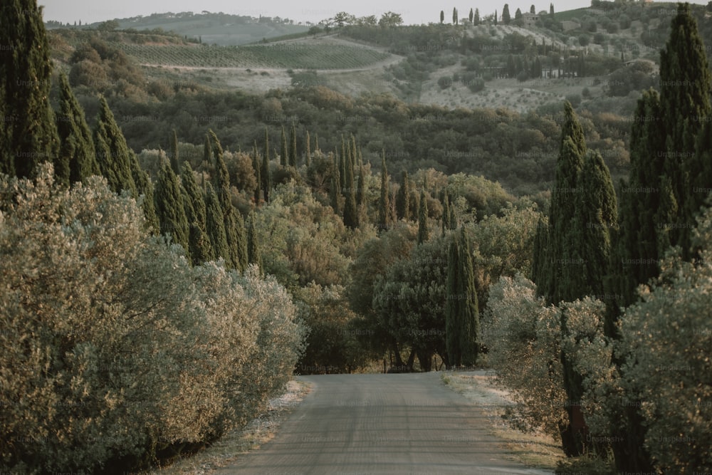 an empty road surrounded by trees and hills
