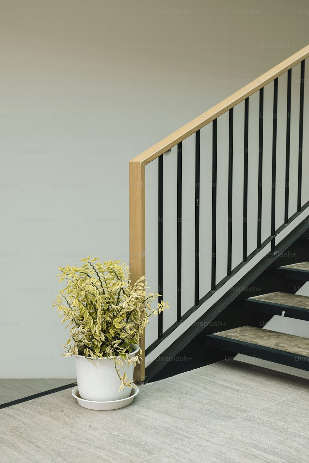 eine Topfpflanze, die auf dem Boden neben einer Treppe sitzt