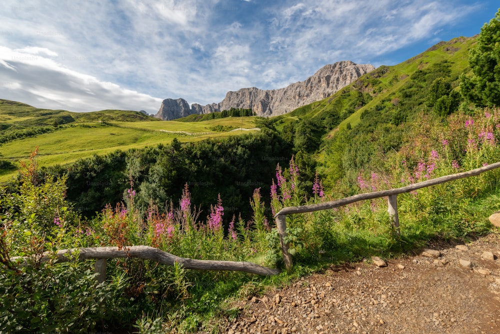 a path in the middle of a lush green valley