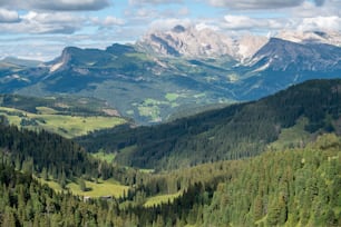 uma vista de um vale com montanhas ao fundo