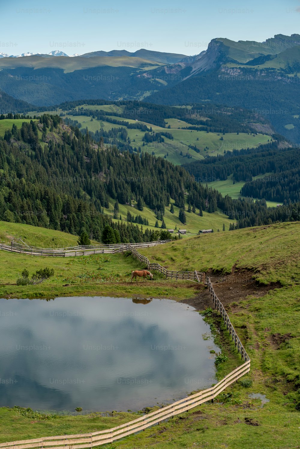 a pond in the middle of a grassy field