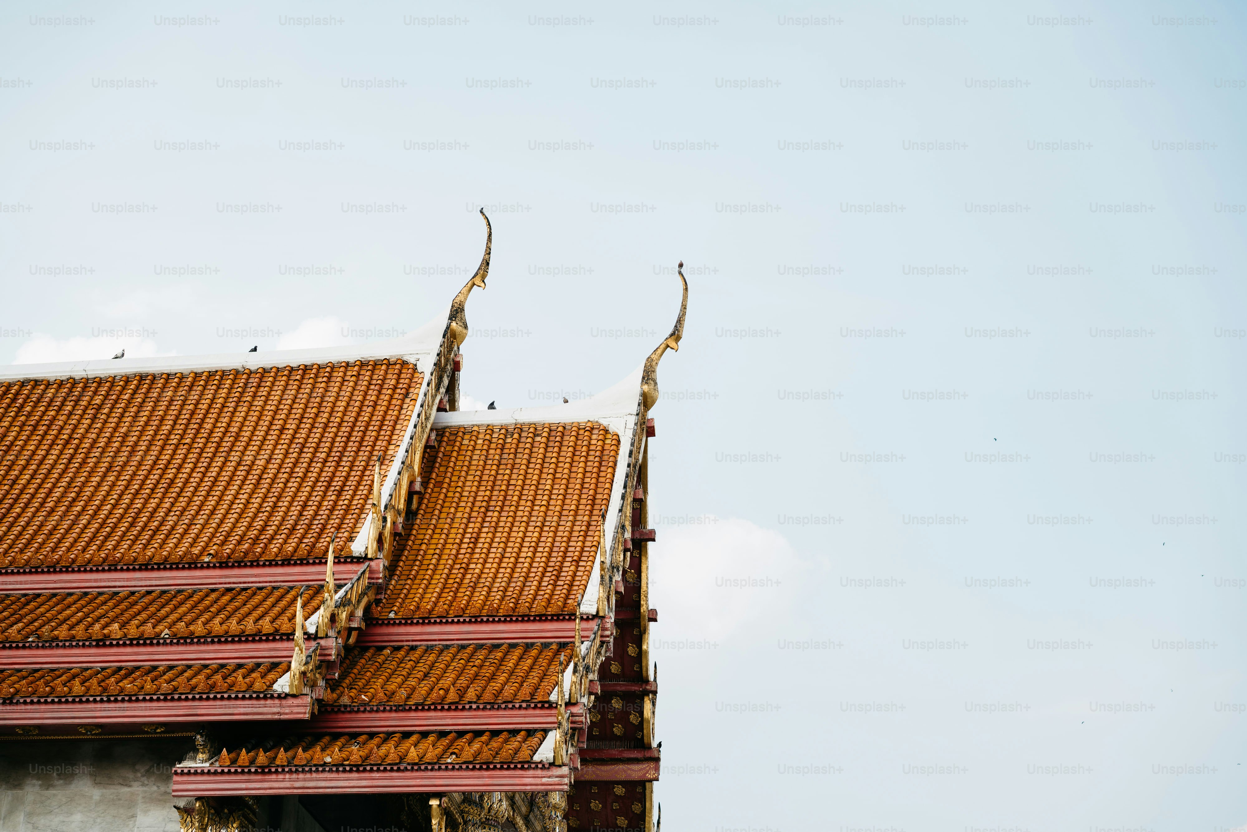 the roof of a building with a bird sitting on top of it