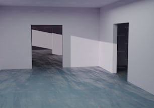 una stanza vuota con tre porte e un pavimento blu