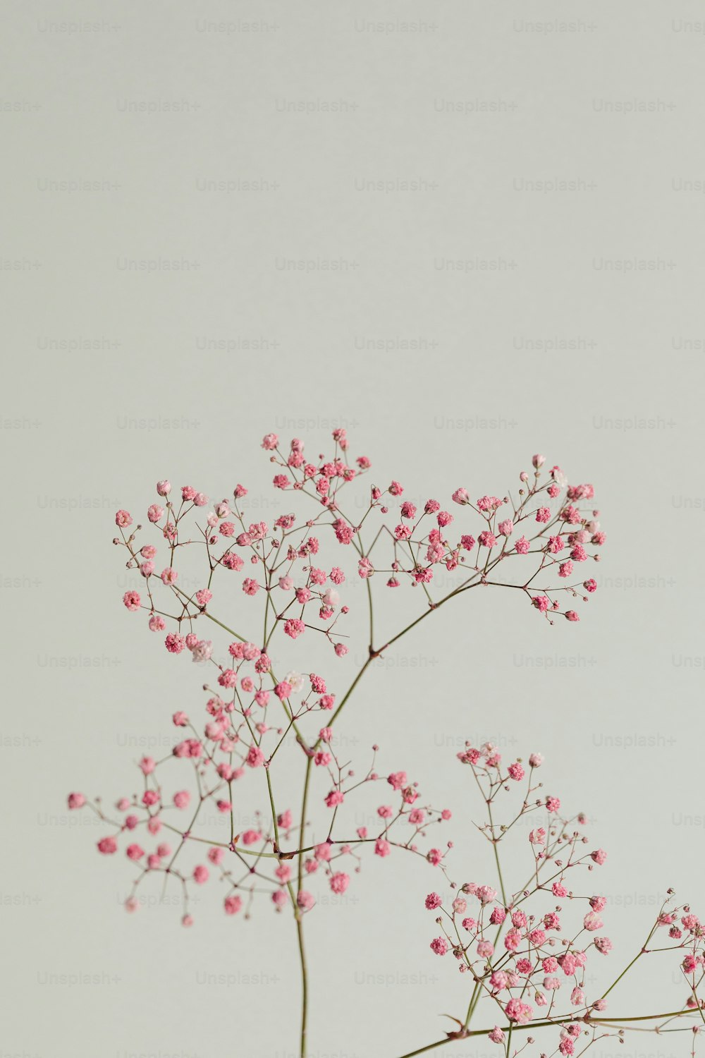 a vase filled with pink flowers on top of a table