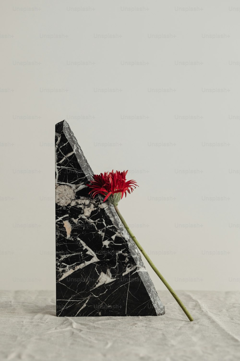 a black and white piece of art with a red flower in it