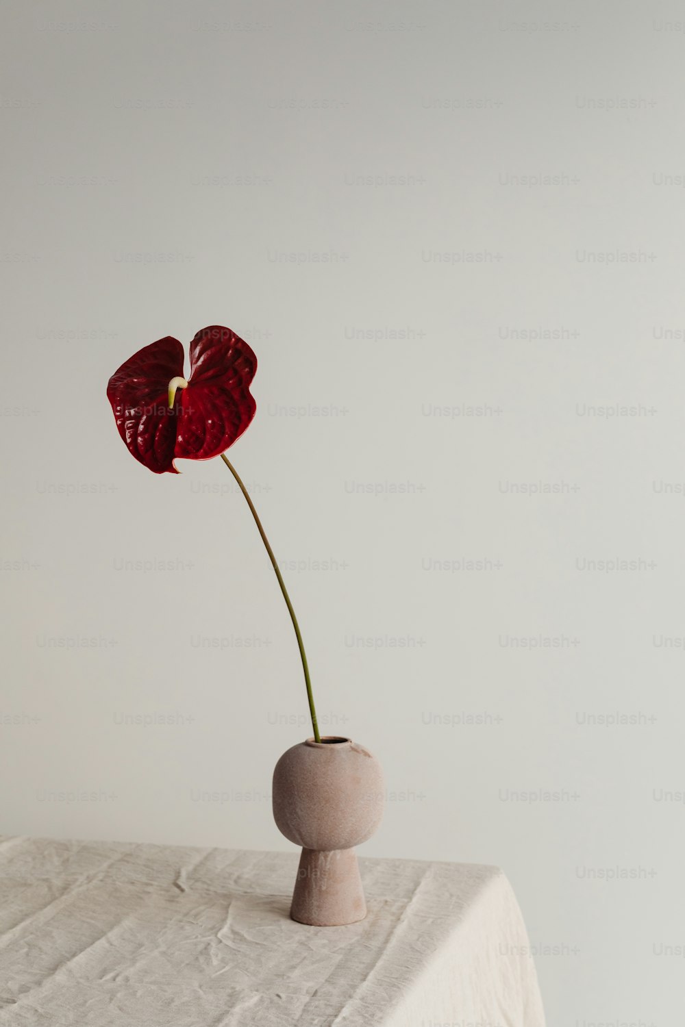 uma única flor em um vaso em uma mesa