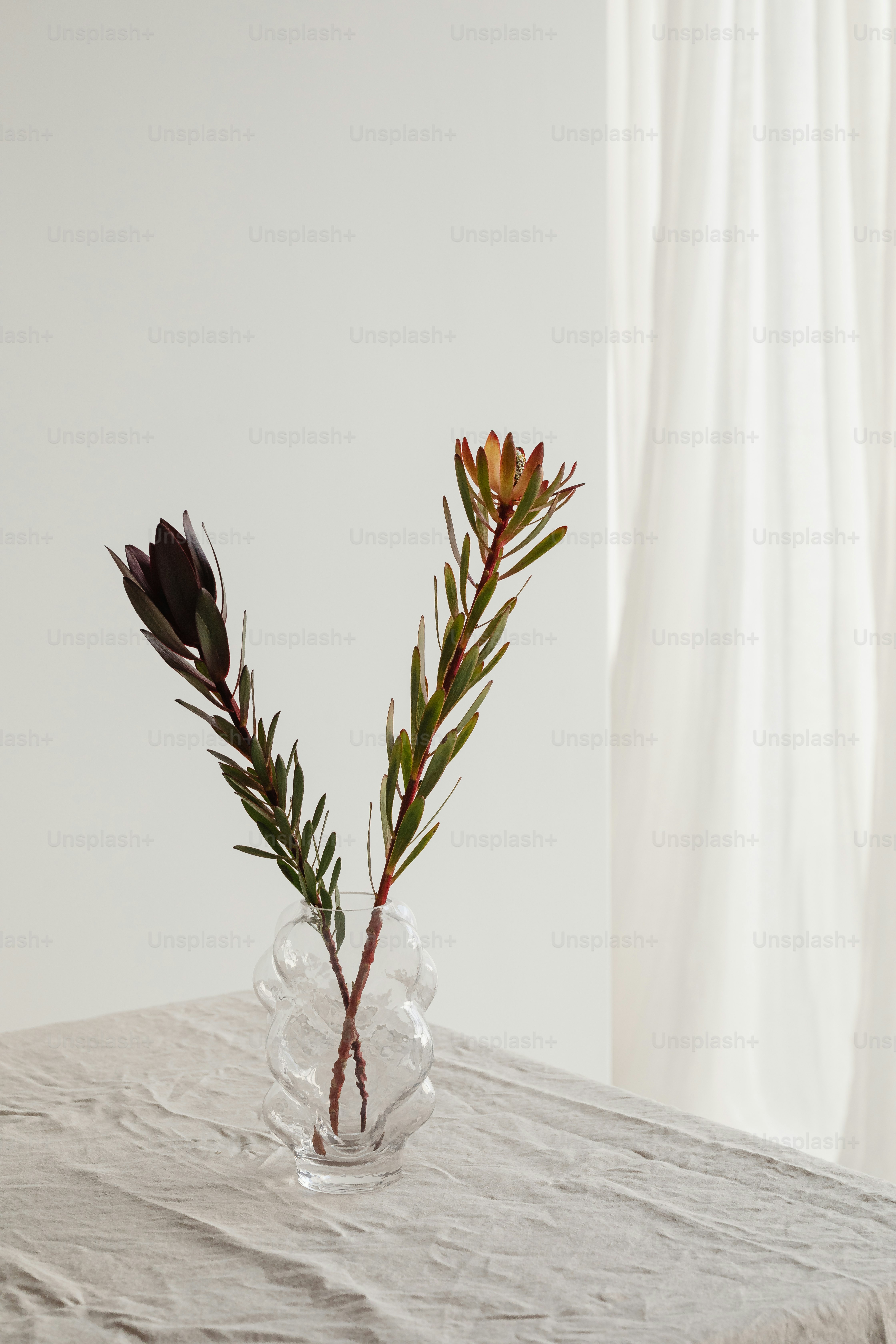 テーブルの上に座っている花瓶の植物