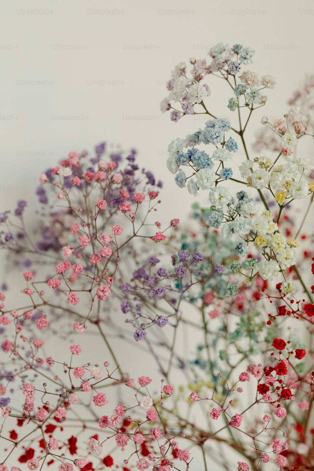 a bunch of flowers that are sitting on a table